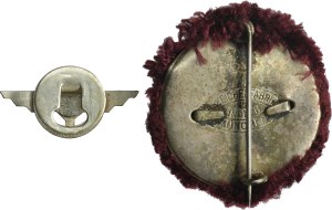Set, Germany, Third Reich, Badges (2 pcs.)