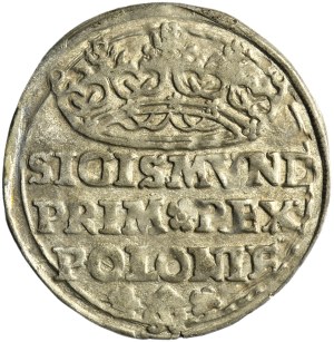 Sigismund I the Old, Groschen Krakau 1529