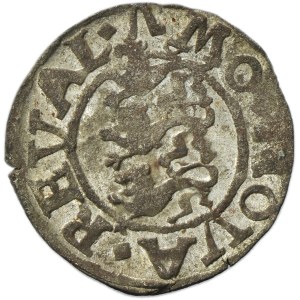 Reval under Sweden, Johann III, Schilling Reval undated