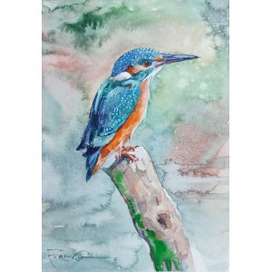 Alexander Franko, Kingfisher.