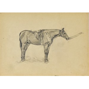 Ludwik MACIĄG (1920-2007), Skizze eines Pferdes mit einem Sattel auf dem Rücken