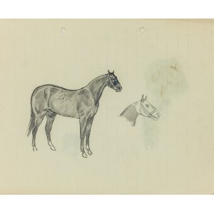 Ludwik MACIĄG (1920-2007), Skica koně a koňské hlavy