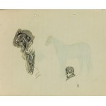 Ludwik MACIĄG (1920-2007), Sketch of a horse and horse's head