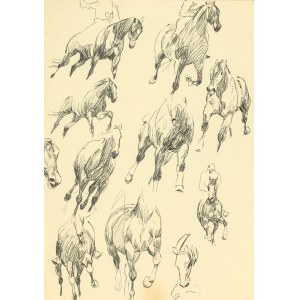 Ludwik MACIĄG (1920-2007), Skizze eines Pferdes und eines Reiters zu Pferd