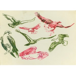 Ludwik MACIĄG (1920-2007), Sketches of an Eagle