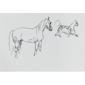Ludwik MACIĄG (1920-2007), Skizzen eines Pferdes