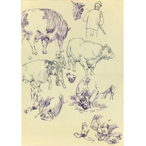 Ludwik MACIĄG (1920-2007), Sketches of the bull in different approaches