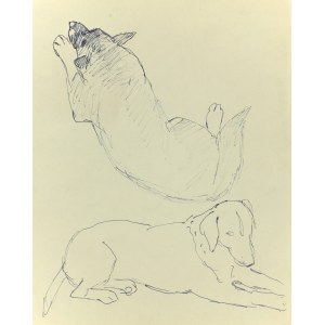 Ludwik MACIĄG (1920-2007), Skizzen eines liegenden Hundes