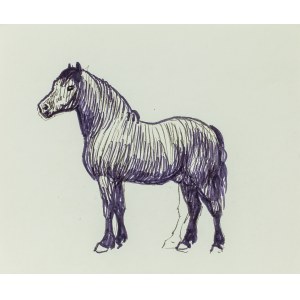 Ludwik MACIĄG (1920-2007), Sketch of a standing horse in a shot from the left side