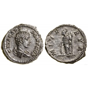 Cesarstwo Rzymskie, denar, 203-208, Rzym