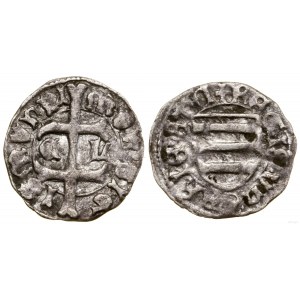 Maďarsko, denár, nedatované (1436-1437), Košice