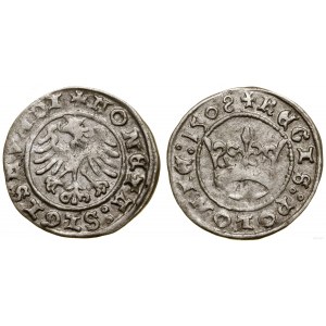 Polen, halber Pfennig, 1508, Krakau