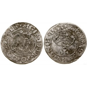 Poľsko, penny, 1533, Gdansk