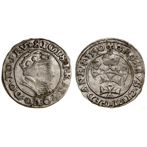Polen, penny, 1540, Danzig