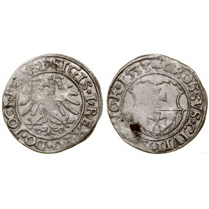 Polsko, penny, 1533, Elbląg