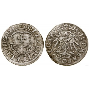Polska, szeląg, 1539, Elbląg