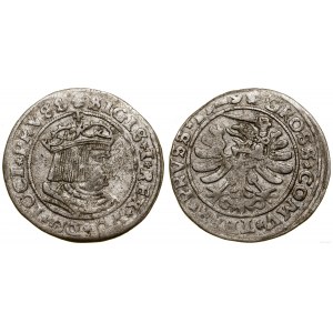 Polen, Pfennig, 1529, Toruń