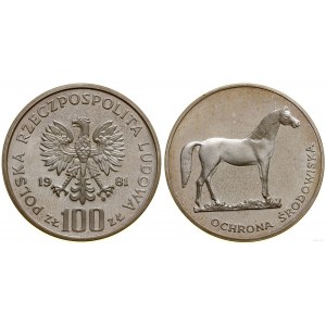 Poľsko, 100 zlotých, 1981, Varšava