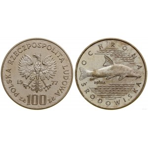 Polska, 100 złotych, 1977, Warszawa