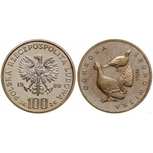 Polen, 100 Zloty, 1980, Warschau