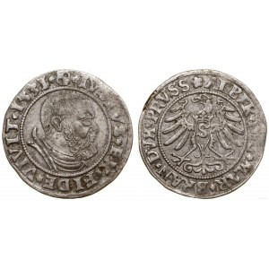 Herzogliches Preußen (1525-1657), Pfennig, 1531, Königsberg