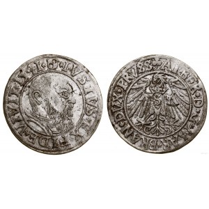 Knížecí Prusko (1525-1657), groš, 1541, Königsberg