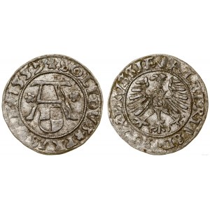 Prusy Książęce (1525-1657), szeląg, 1557, Królewiec
