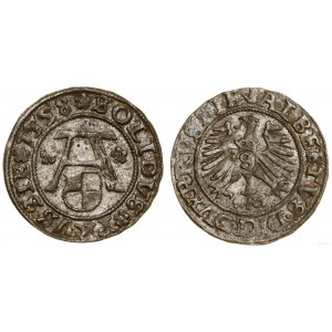 Ducal Prussia (1525-1657), shilling, 1558, Königsberg