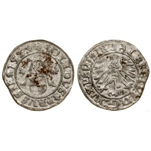 Ducal Prussia (1525-1657), shilling, 1559, Königsberg