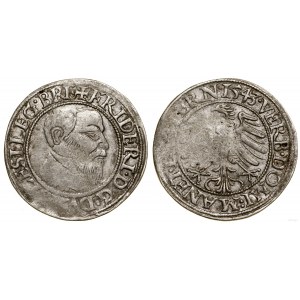Silesia, penny, 1543, Legnica