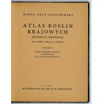 ARCT-GOLCZEWSKA Maria - Atlas der heimischen Pflanzen (Botanika na spacer). 208 Zeichnungen von Pflanzen auf 20 Tafeln. Wyd Wyd....