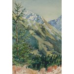 Wanda Gentil-Tippenhauer (1899 Haiti - 1965 Zakopane), Blick auf das Tatra-Gebirge im Sommer, 1932