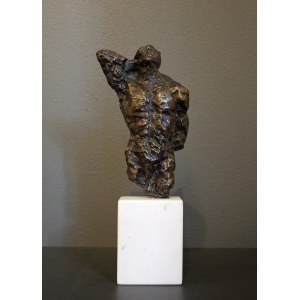 Waldemar Mazurek, Torso