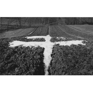 Pawel Piercinski, Bird - pre-winter, 1974, ed. 3/10,