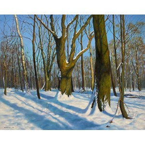 Wojciech Piekarski, Winter Landscape