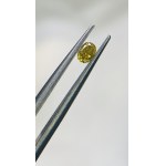 Diamant 0.12CT ocenění.1460 zł