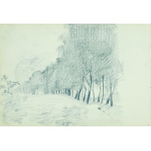 Włodzimierz TETMAJER (1861 - 1923), Pejzaż z drzewami [Drzewa nad strumieniem], [1907]