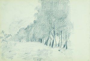 Włodzimierz TETMAJER (1861 - 1923), Pejzaż z drzewami [Drzewa nad strumieniem], [1907]