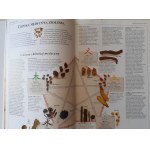ODY Penelope - WIELKI ZIELNIK MEDYCZNY Praktyczny przewodnik po roślinach leczniczych wraz ze sposobami usuwania powszechnie znanych dolegliwości