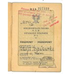 Personalausweis der Republik Polen. Reisepass.