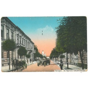 TARNOPOL, ulica Agenora Goluchowského.
