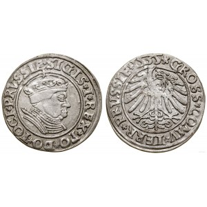 Polska, grosz, 1535, Toruń