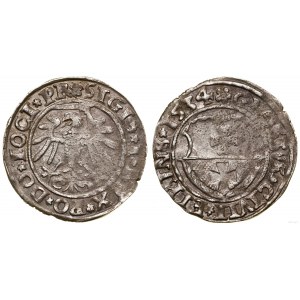Poland, penny, 1534, Elbląg