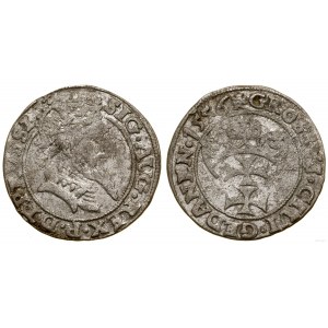 Poľsko, penny, 1556, Gdansk