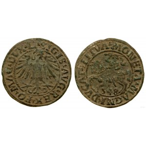 Poland, half-penny, 1548, Vilnius