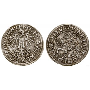 Poland, half-penny, 1549, Vilnius