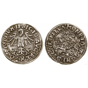 Polen, halber Pfennig, 1549, Vilnius