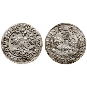 Polen, halber Pfennig, 1560, Vilnius