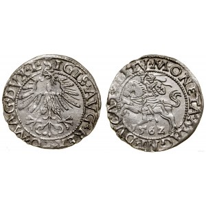 Polen, halber Pfennig, 1562, Vilnius