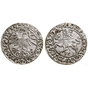 Polen, halber Pfennig, 1563, Vilnius